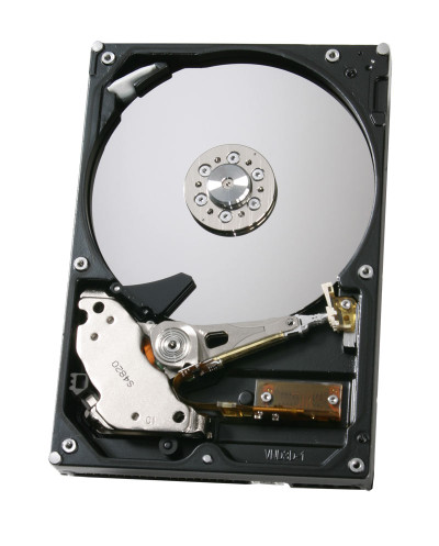 Hitachi Deskstar 7K250 250GB 7200RPM Internal Hard Drive for ATA-100 with 8MB Cache - 3.5-inch