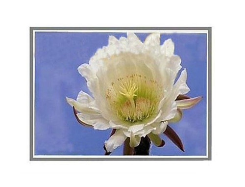 LTN170X2-L01 - Samsung 17" 1440x900 WXGA+ LCD Panel