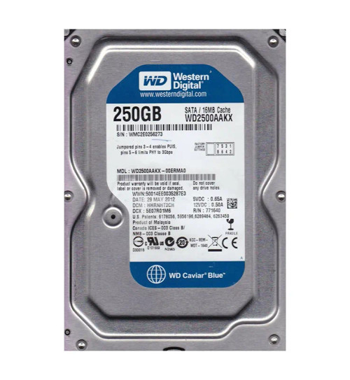 WD2500AAKX-00ERMA0 - Western Digital 250GB 7200RPM SATA 3.5-Inch HDD