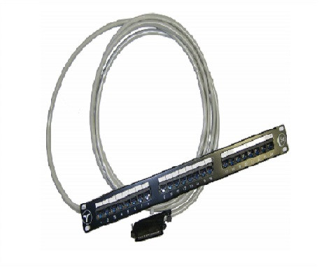 CABUK0311 - Unbranded RJ-21 Male to 24-Port RJ-45 Telco Panel