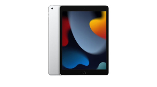 Apple MK4H3FD/A iPad 10.2'' Tablet