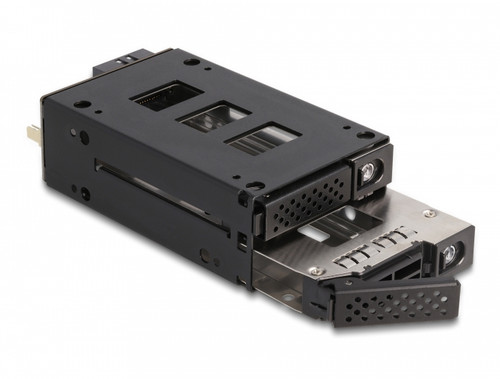 47019 - Delock 2x 2.5" U.2 NVMe Slim Bay Mobile Frame