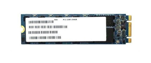 1NC52AV - HP 256GB SATA 6Gbps M.2 2280 SSD