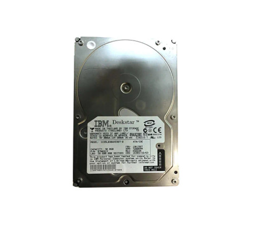 IBM 30GB 7200RPM ATA 100 3.5 2MB Cache Deskstar Hard Drive compatible with servers