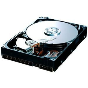 HD251KJ - Samsung 250GB 7200RPM SATA 3Gb/s 3.5" HDD