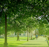 Why Shorter Light Poles Are Ideal for Walkways and Small Parking Areas