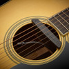 Fishman Rare Earth Blend Acoustic Guitar soundhole pickup & mic