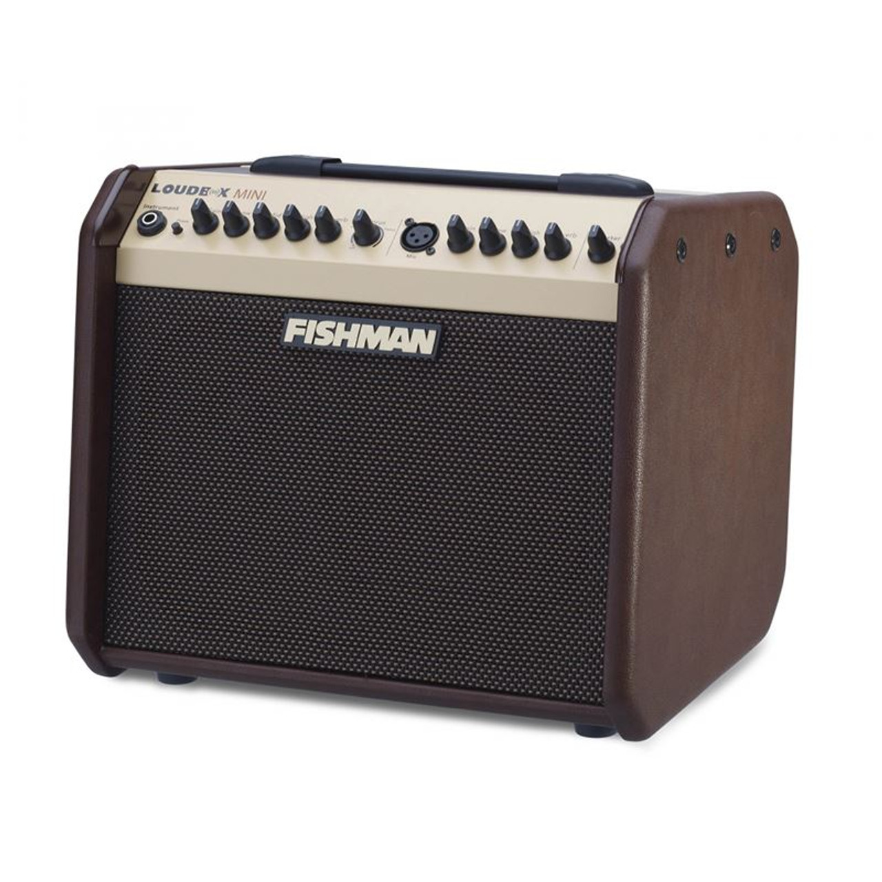 Fishman Loudbox Mini 60w Acoustic Guitar Amplifier