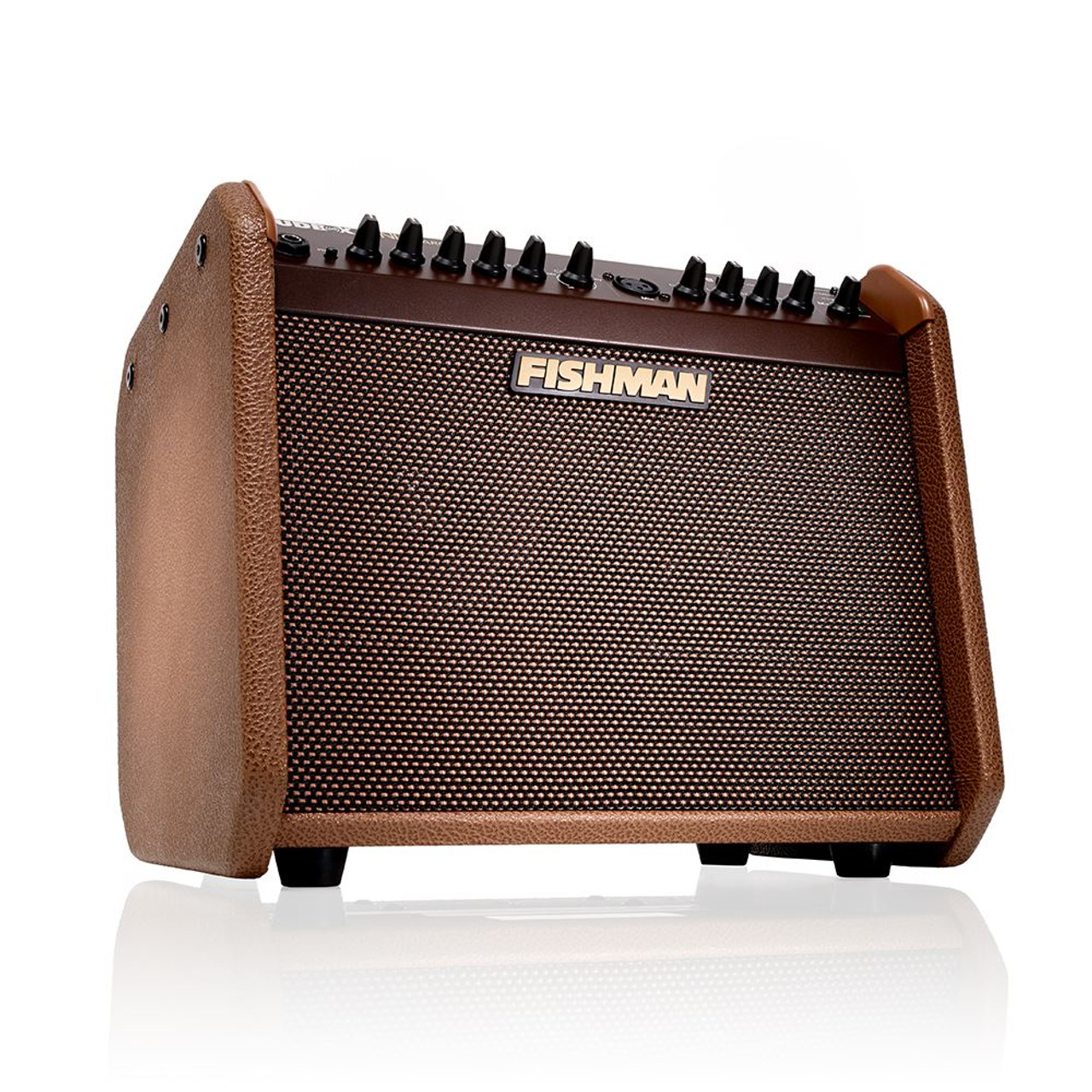 Fishman Loudbox Mini Charge Acoustic Guitar Amplifier