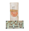 Printed Circuit Board (1973-1977) (UD18084)