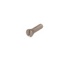 Door Handle Screw (RB7173)