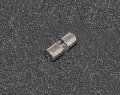 Small 10 amp Glass Fuse (UD11539)