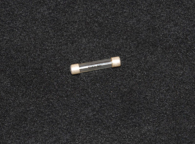 20 Amp Fuse (UD19102)