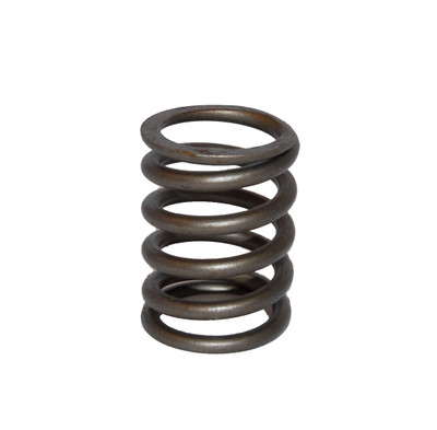 Valve Spring (UE9672)