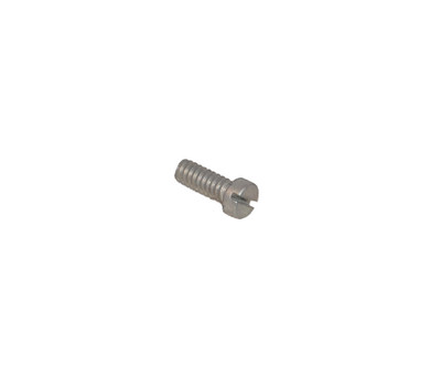 Carburetor Chamber Body Screw (CD5872)