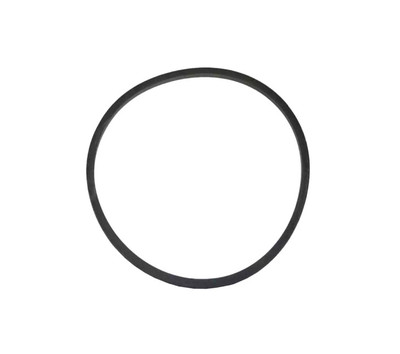 Oil Filter Sealing Ring Canister to Head (UE30652)