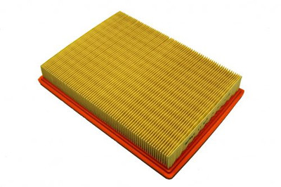Air Filter (UE70123)
