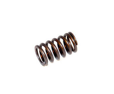 Shake Back Stop Spring (UG2032)
