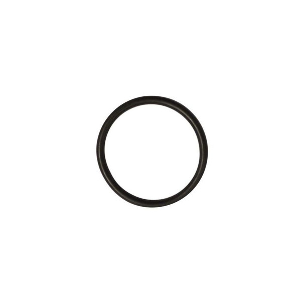 Damper Shaft Sealing Ring (UR4753)