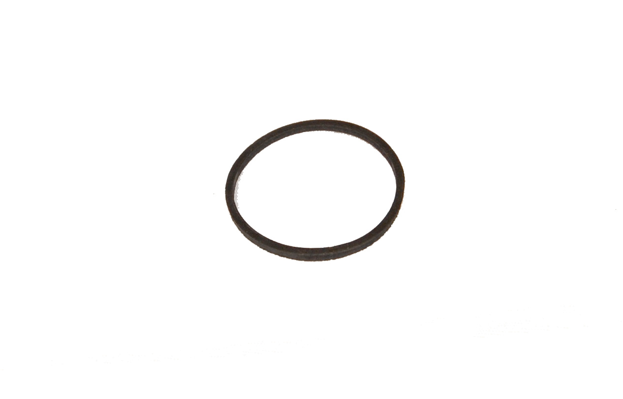 Fuel Filter Sealing Ring (UR795)