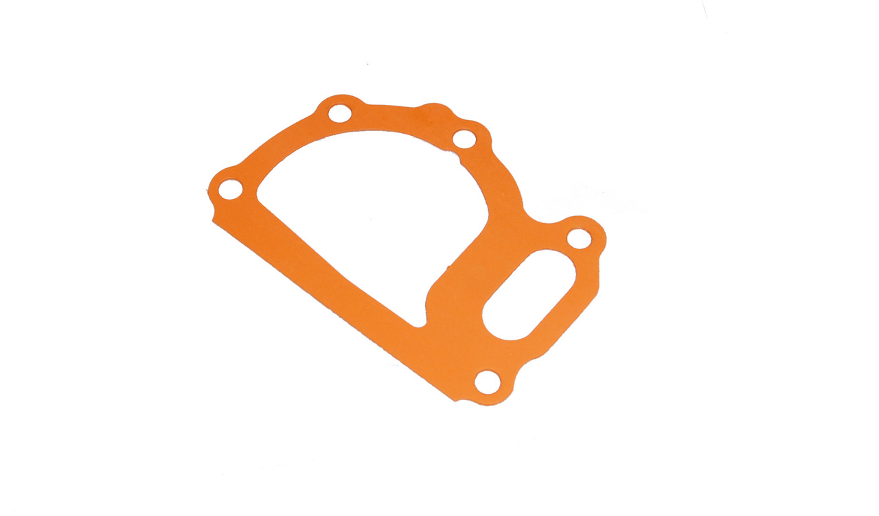 Gasket (Water Pump Adapter to Crankcase) (EB4219)