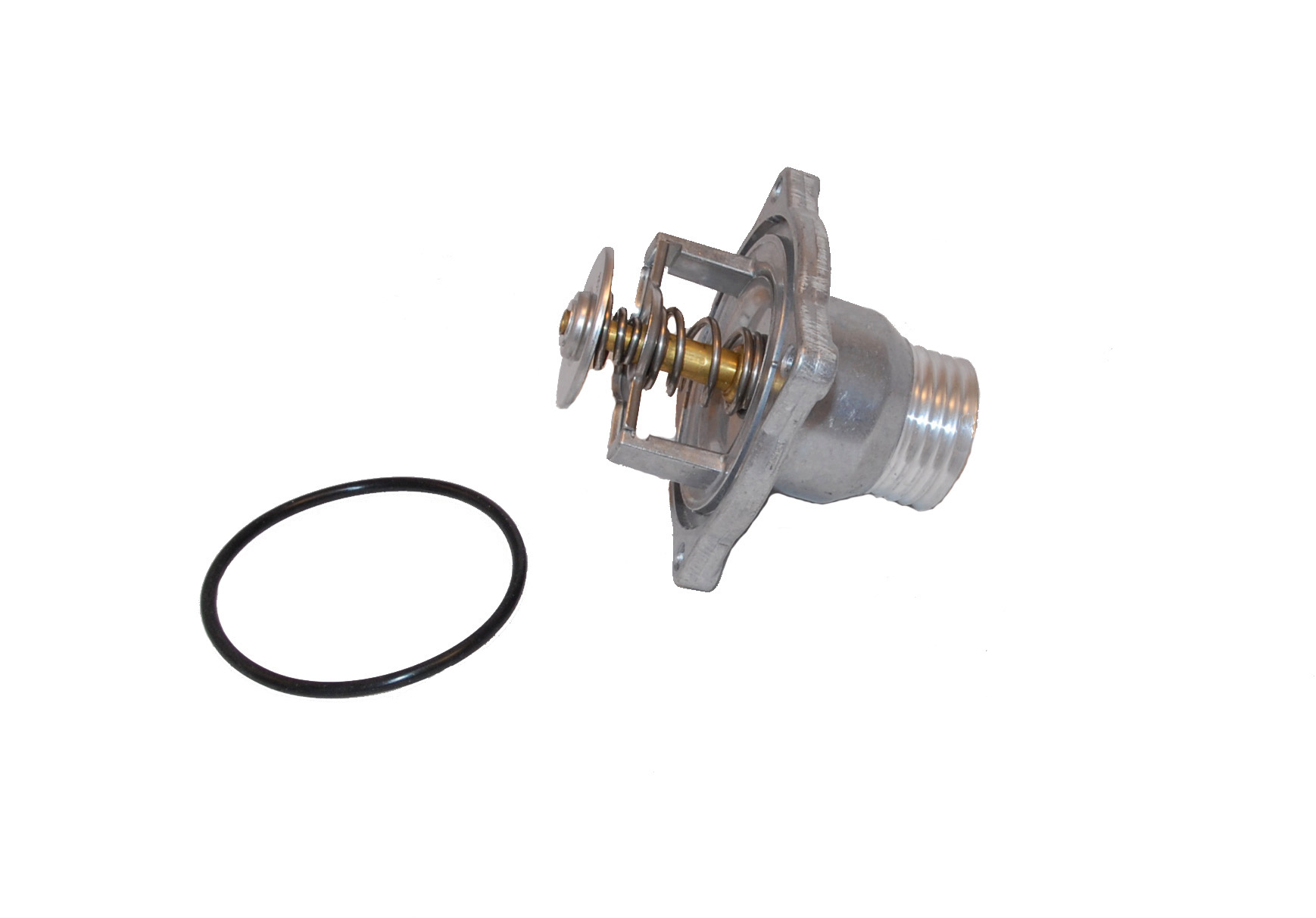 Thermostat & Sealing Washer (PG29069PA)