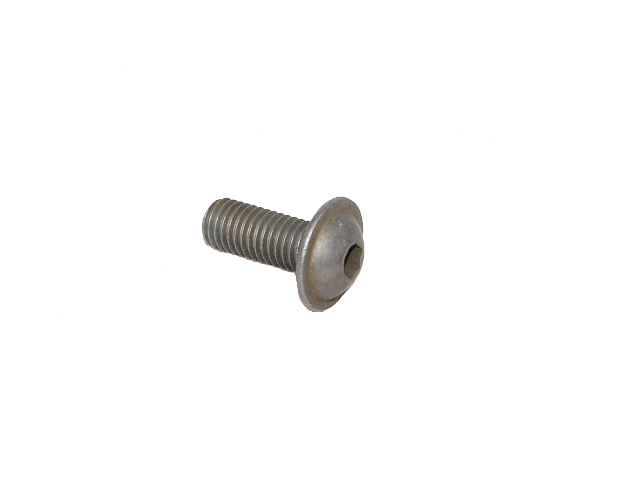 Torx Screw 10m x 25mm long (SPM1924)