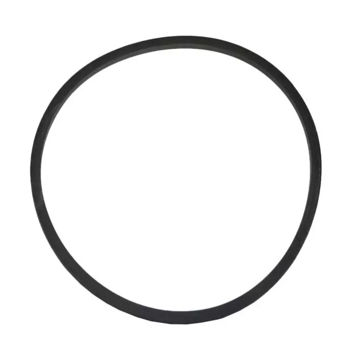 Sealing Ring (Oil Filter Canister to Head) (UE30652)