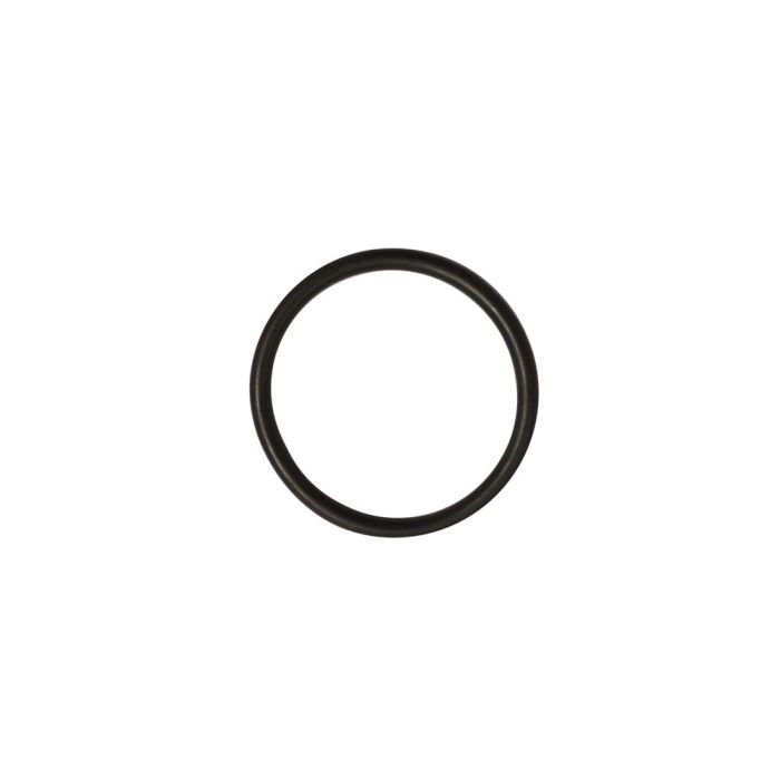 Damper Shaft Sealing Ring (UR4753)
