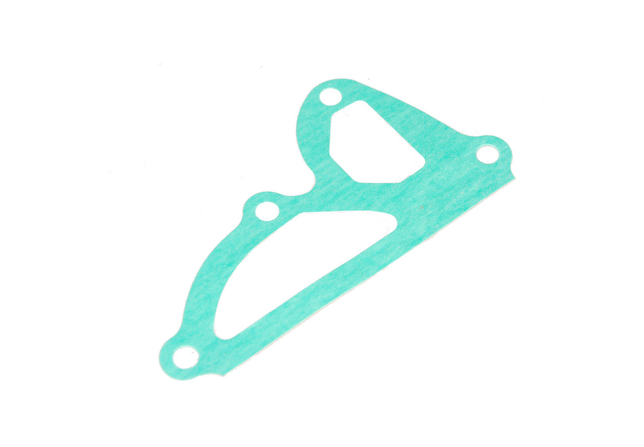 Gasket for back plate to pump (RH12904)