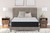 Palisades Plush - King Mattress - Gray / Blue