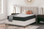 Limited Edition Firm - Queen Mattress - White