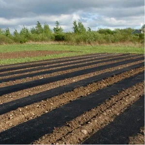 38" x 4000' Embossed, Black mulch film