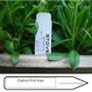 STAKE TAG, 5 X 5/8", BLANK, (2,000/BDL) STAKE TAG, 5 X 5/8", BLANK, (2,000/BDL)
