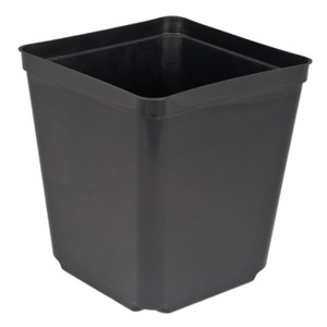 5.5" SQUARE POT, (264/CS) 5.5" SQUARE POT, (264/CS)