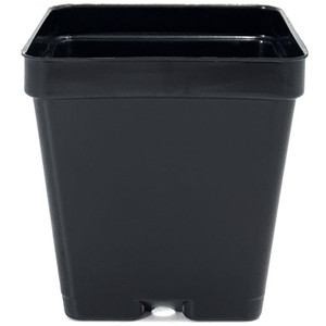 3.5" SQUARE POT, SMOOTH WALL (684/CS) 3.5" SQUARE POT, SMOOTH WALL (684/CS)
