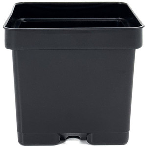 4" SQUARE POT, SMOOTH WALL (450/CS) 4" SQUARE POT, SMOOTH WALL (450/CS)