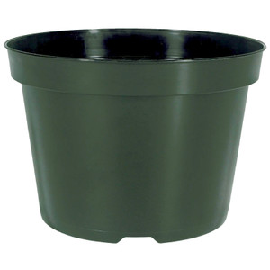 8"  ELITE AZALEA, GRN (270/CS)