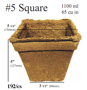 COWPOT #5 SQUARE, (192/CS)
