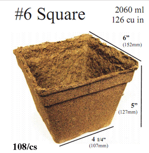 COWPOT #6 SQUARE, (108/CS)