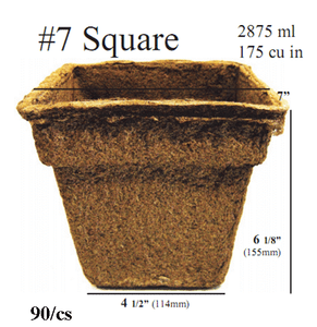 COWPOT #7 SQUARE, (90/CS)