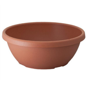 12" COLOR BOWL, LIGHT TC, (50/CS) 12" COLOR BOWL, LIGHT TC, (50/CS)