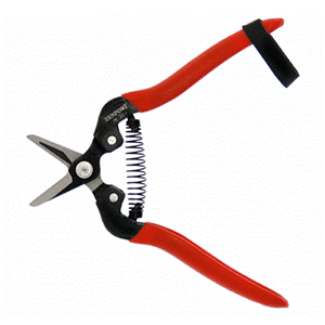 H301 SHORT BLADE HARVEST/THINNING SHEARS H301 SHORT BLADE HARVEST/THINNING SHEARS