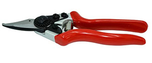ZENPORT QF6 PRUNER ZENPORT QF6 PRUNER