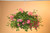 18" FIBER HANGING BASKET, (20/CS)