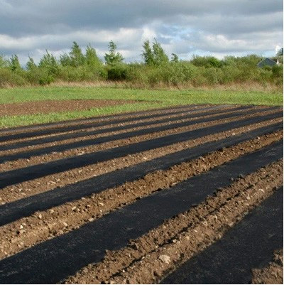 38" x 4000' Embossed, Black mulch film