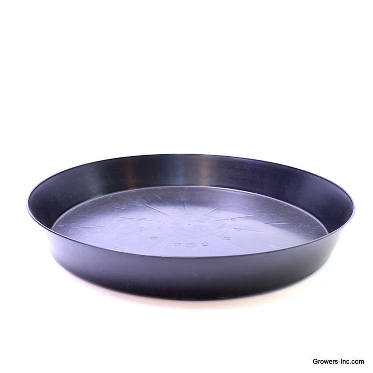 12" HEAVY DUTY SAUCER, (48/CS)