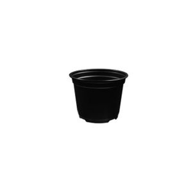 6" ROUND POT, (680/CS)