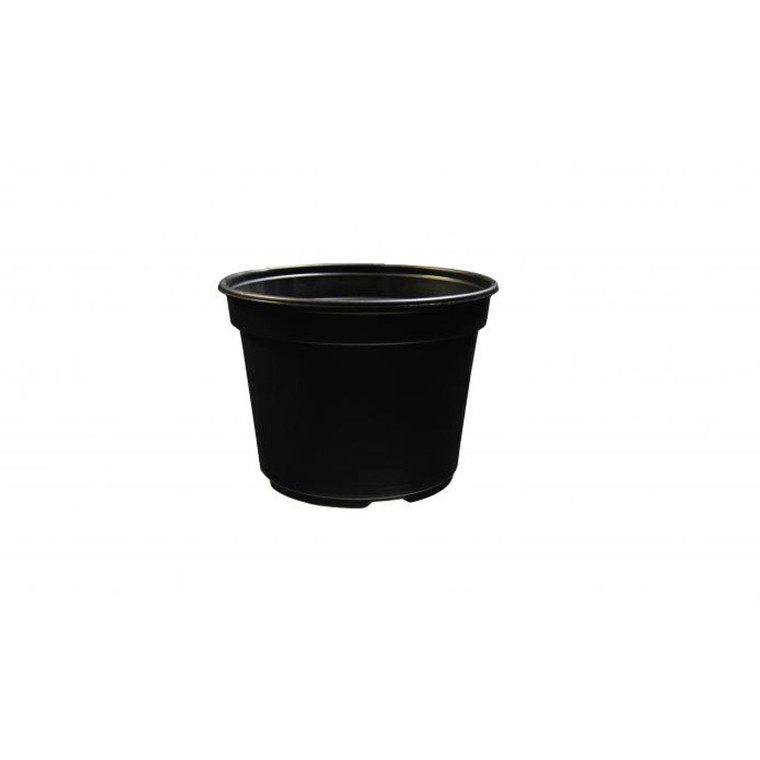 8" AZALEA, BLACK, (210/CS)