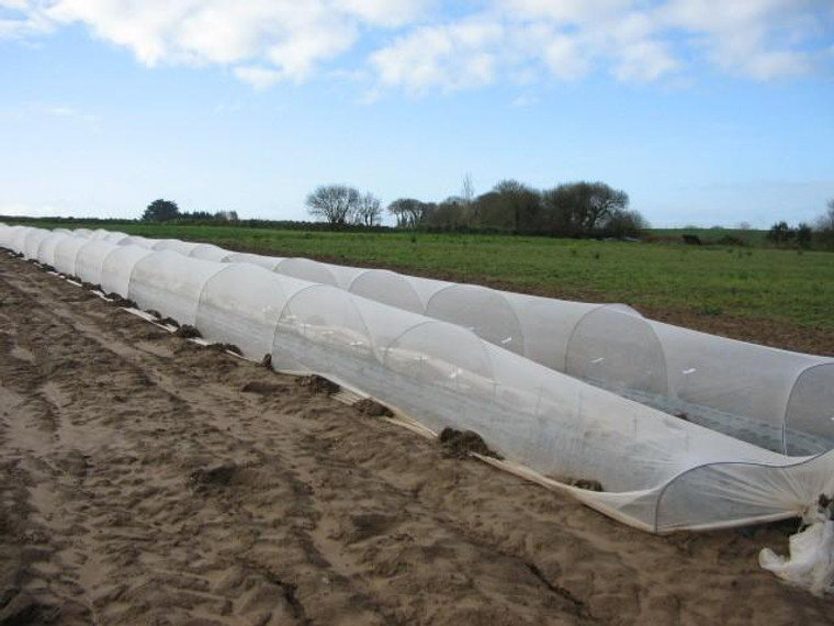 30 X 250' FINE MESH INSECT NETTING